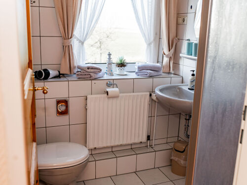 zimmerbild 1-raum appartement